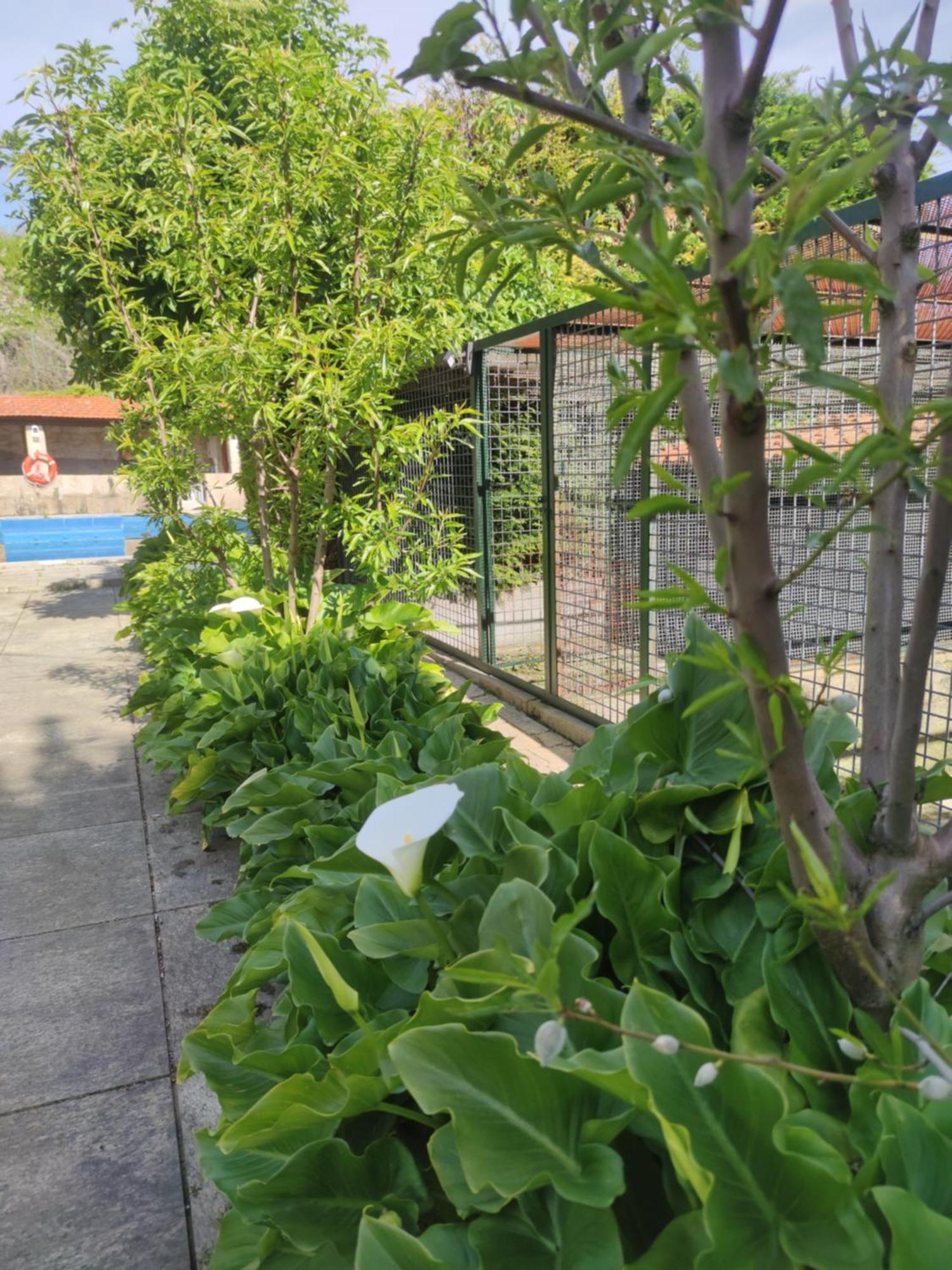Real Santo Antonio Guest House Tarouca 外观 照片