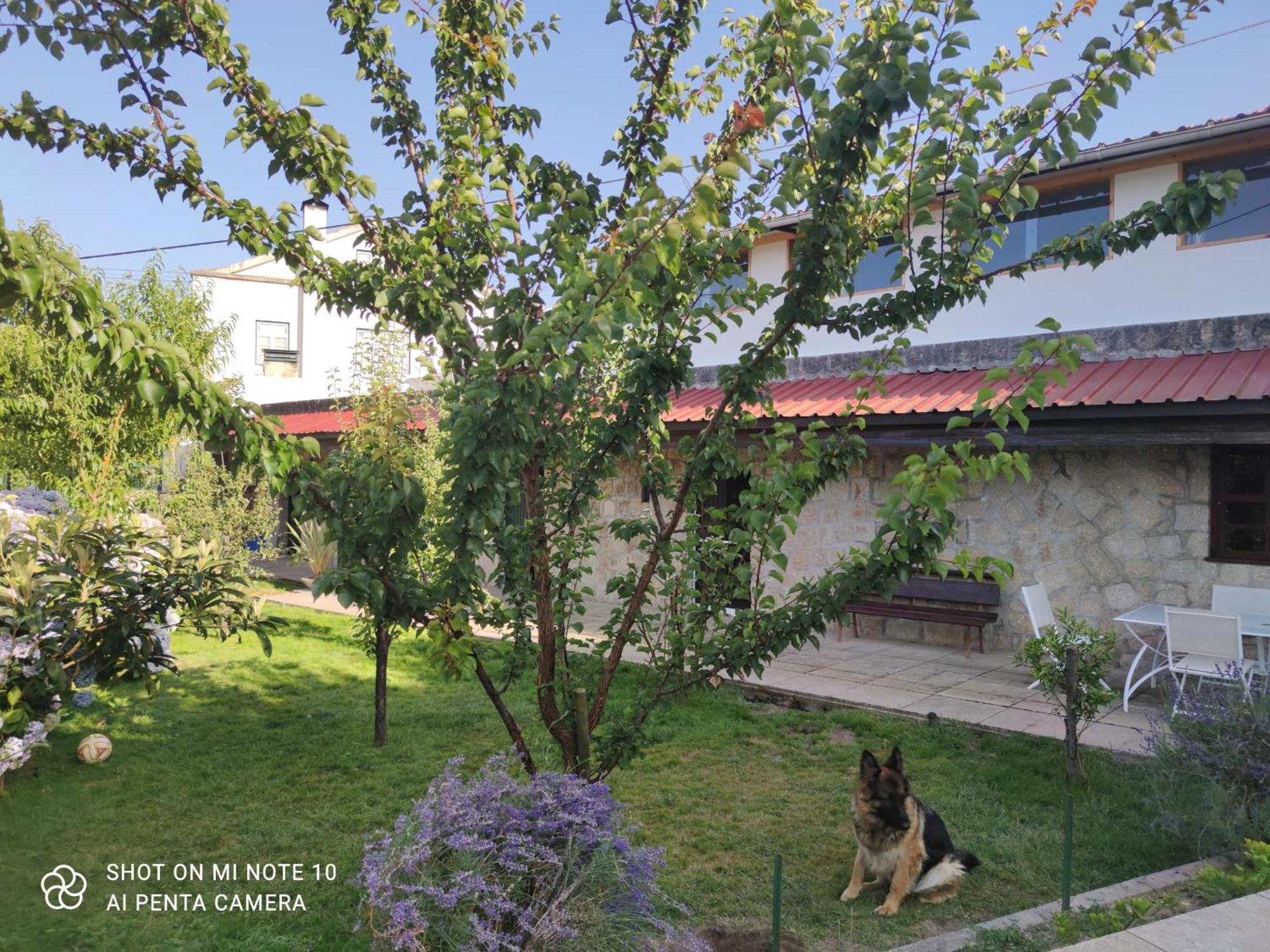 Real Santo Antonio Guest House Tarouca 外观 照片