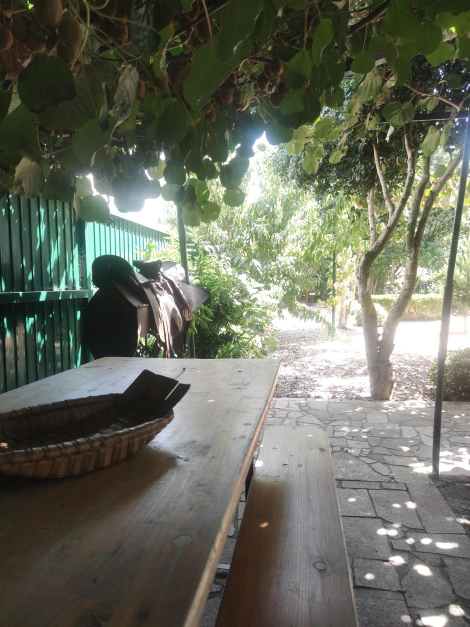 Real Santo Antonio Guest House Tarouca 外观 照片