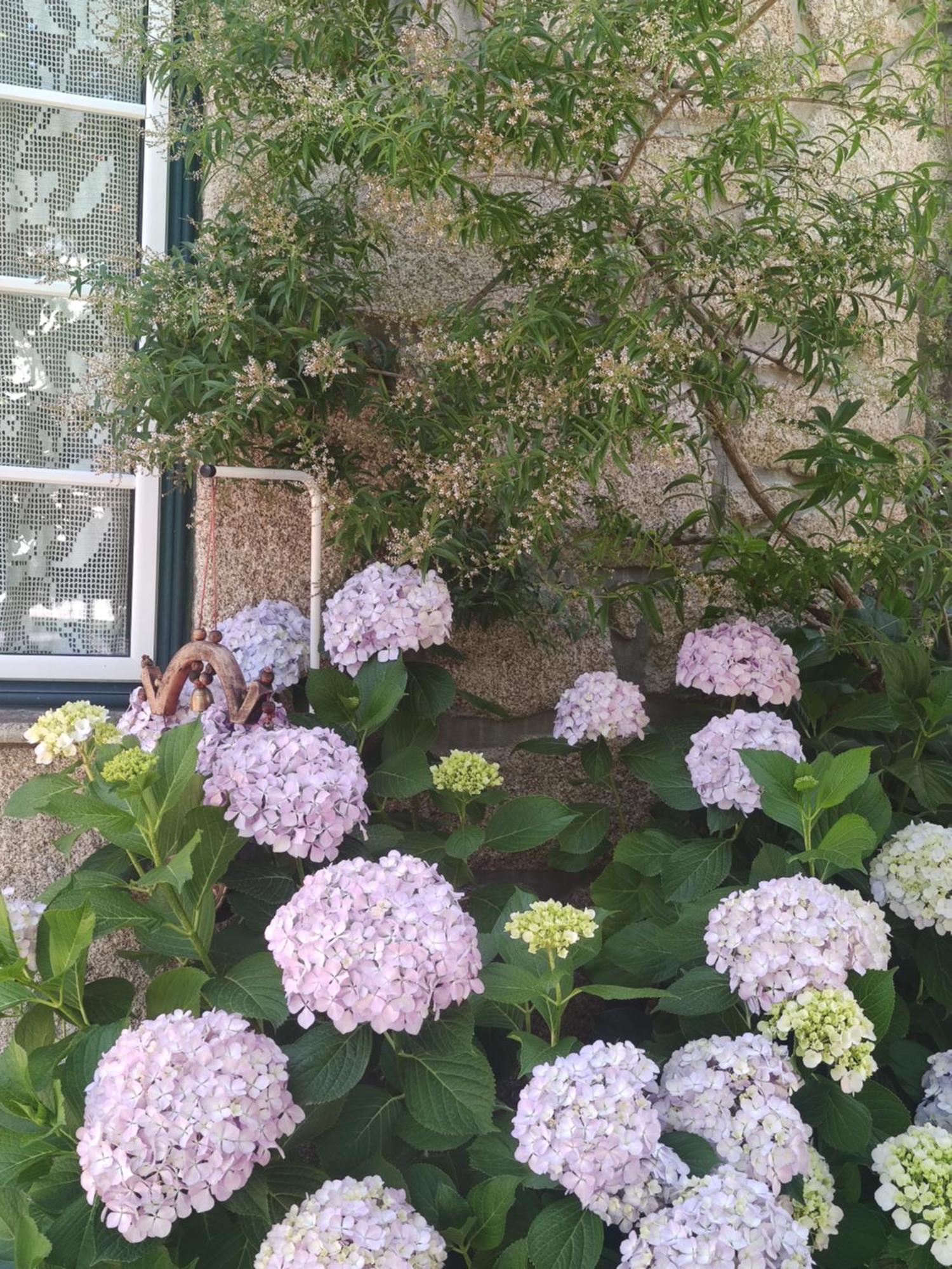 Real Santo Antonio Guest House Tarouca 外观 照片