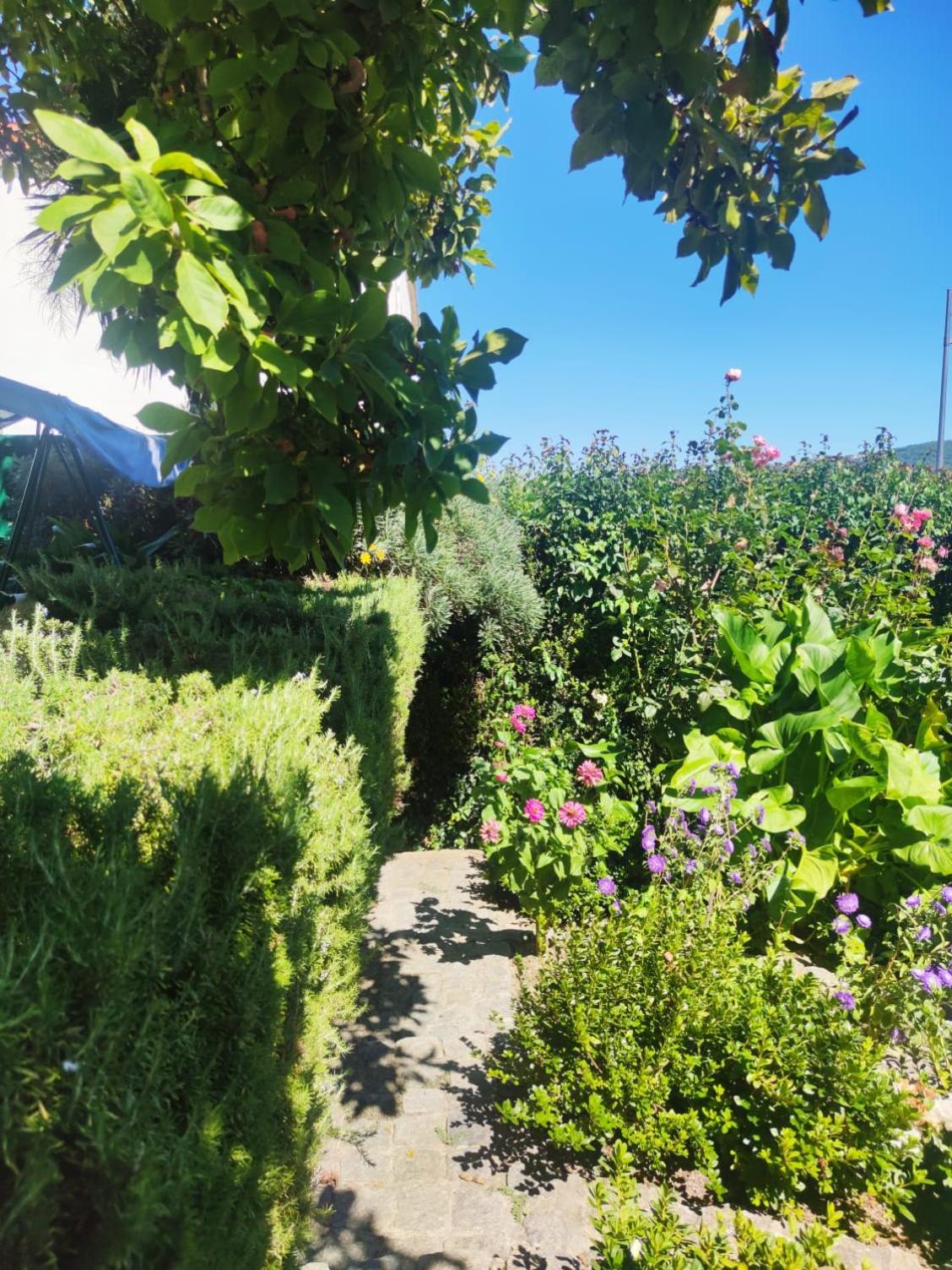 Real Santo Antonio Guest House Tarouca 外观 照片