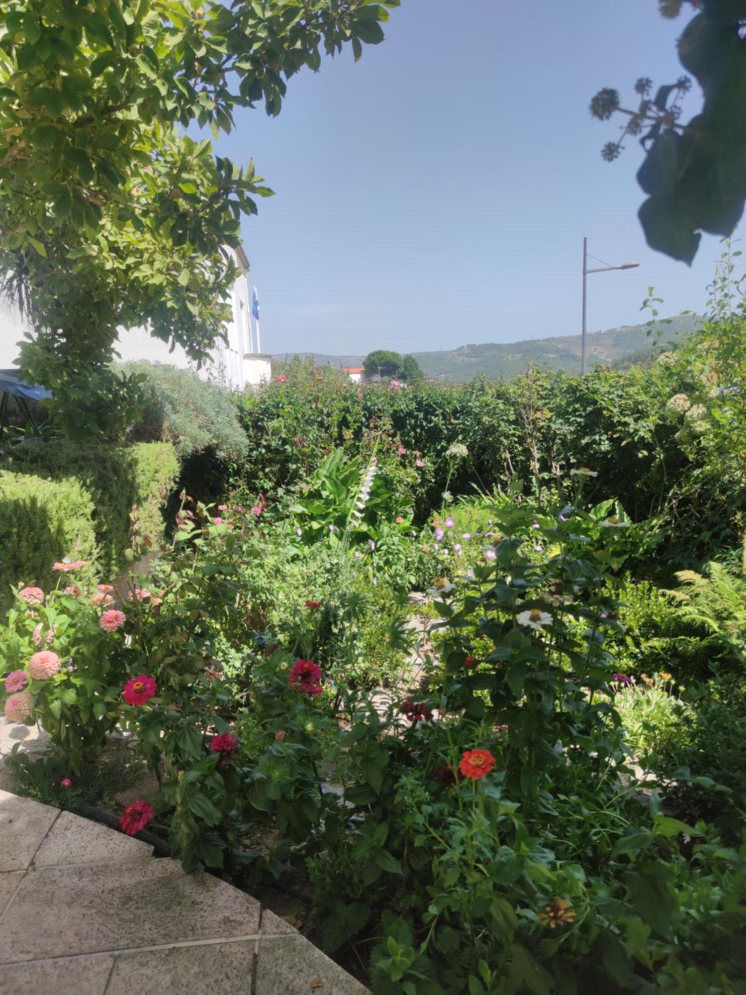 Real Santo Antonio Guest House Tarouca 外观 照片