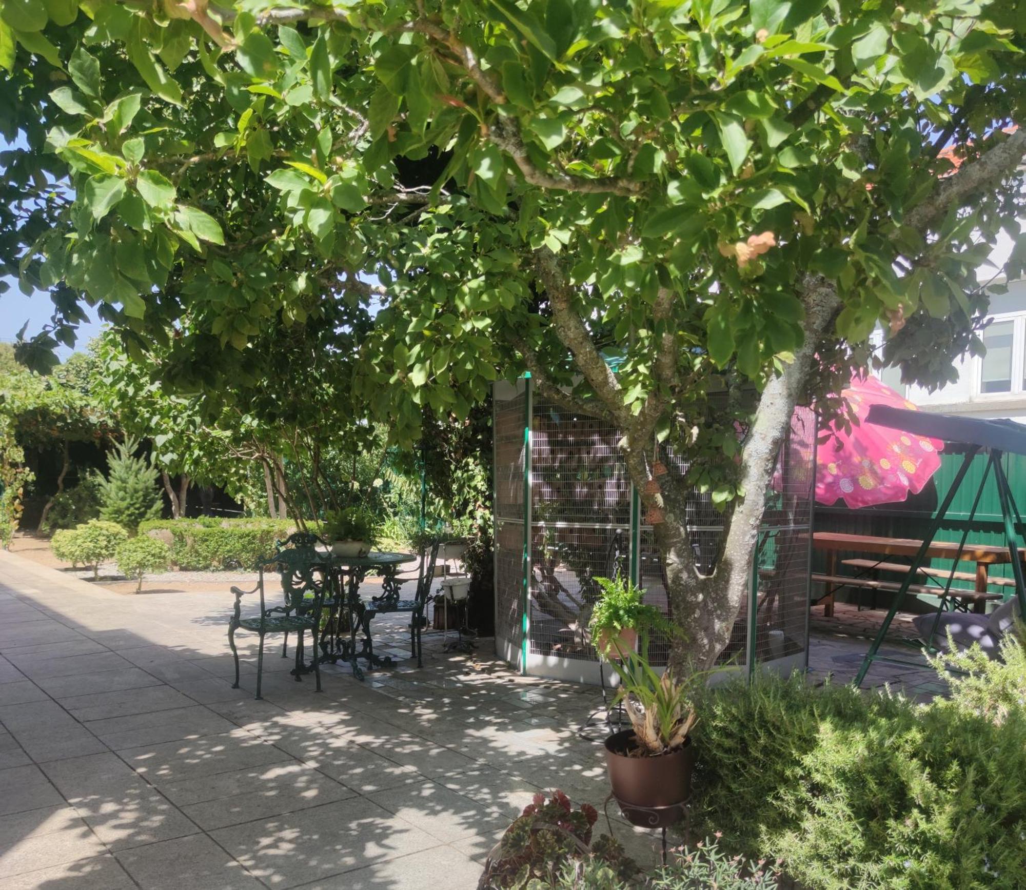 Real Santo Antonio Guest House Tarouca 外观 照片