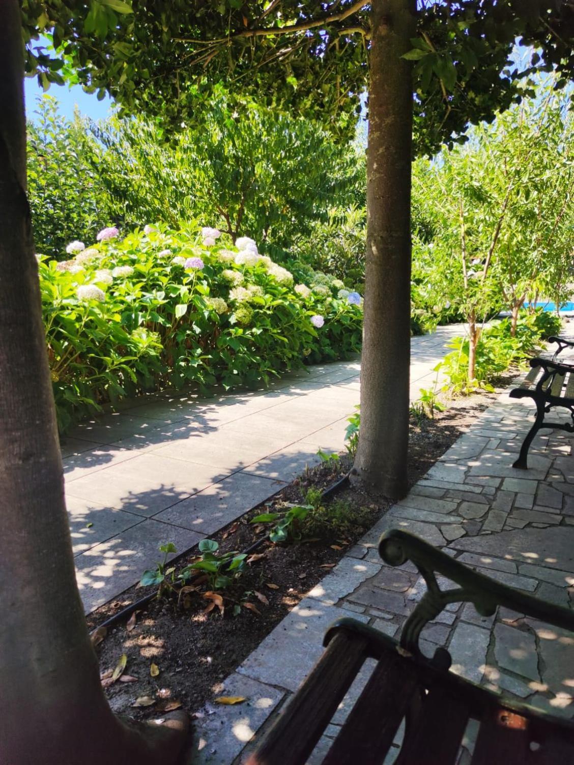 Real Santo Antonio Guest House Tarouca 外观 照片