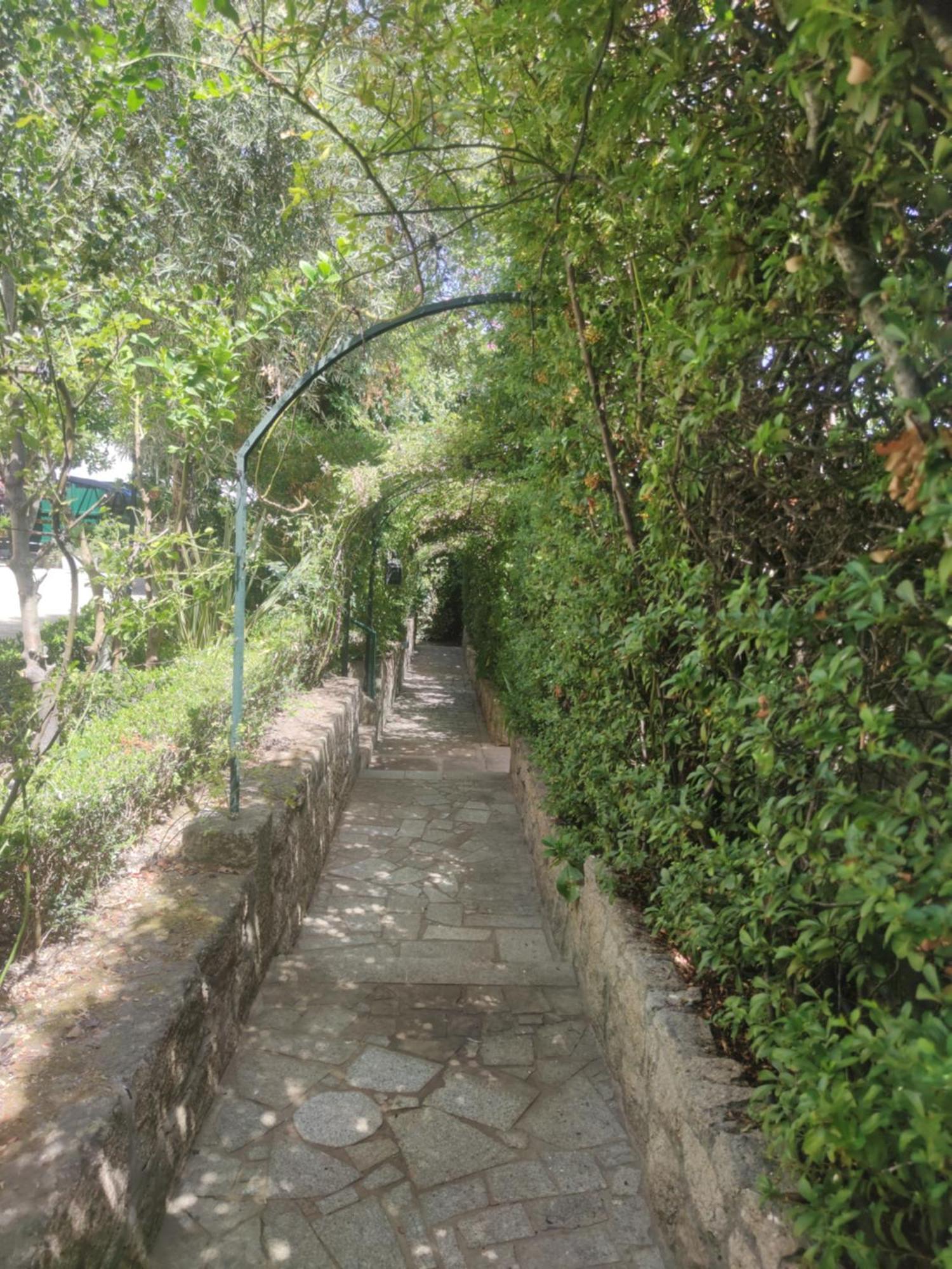 Real Santo Antonio Guest House Tarouca 外观 照片
